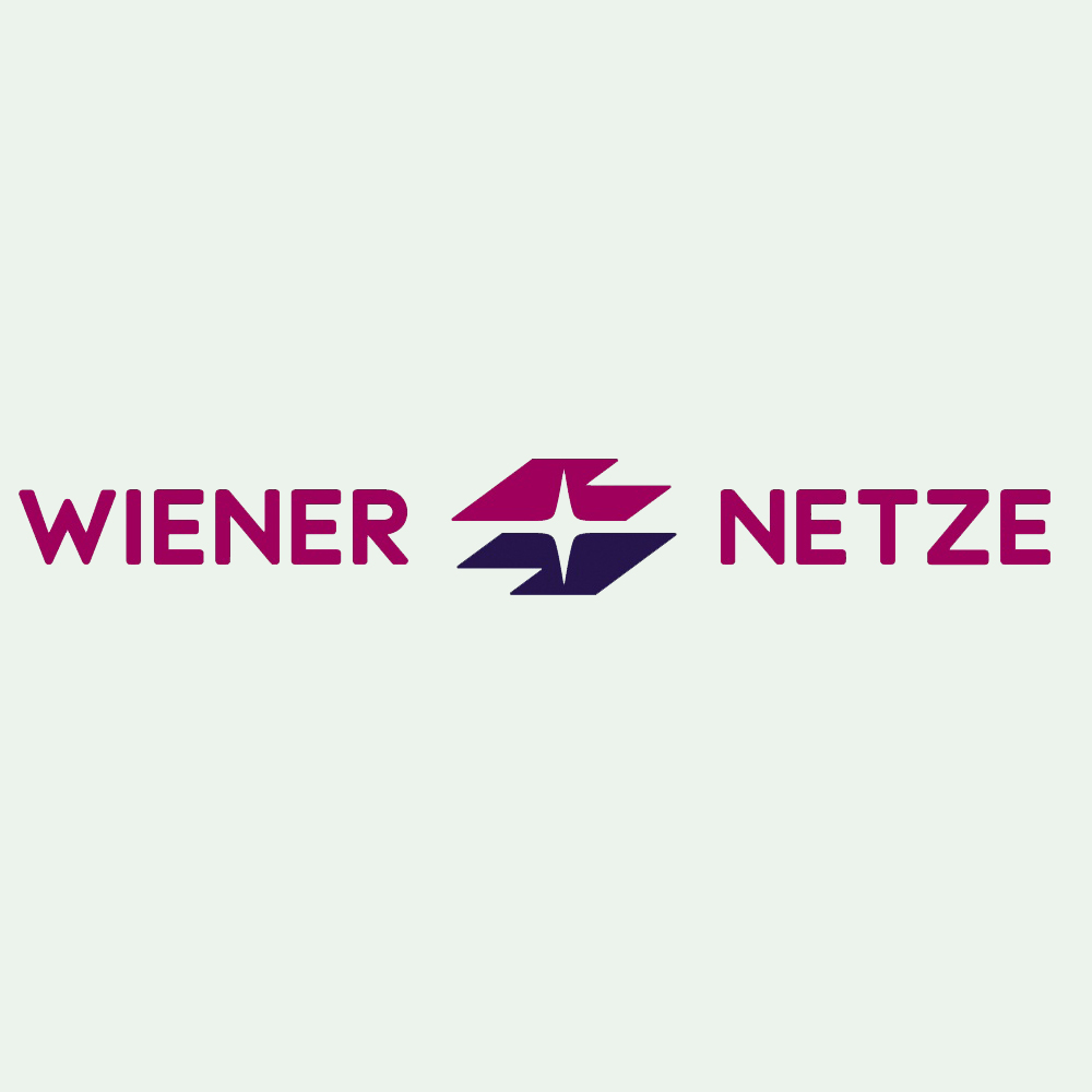 Wiener Netze