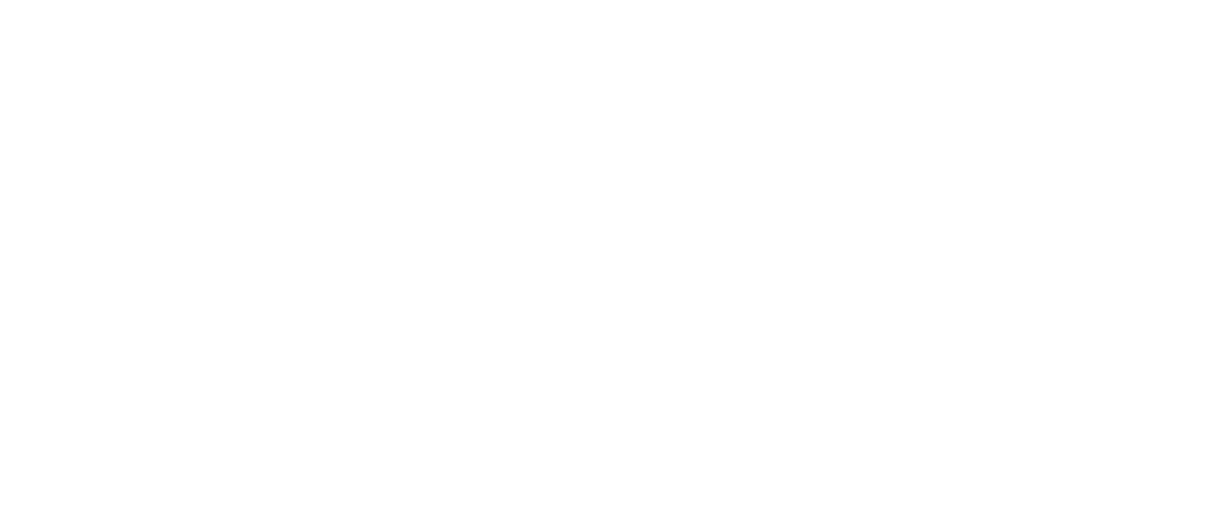 dev.sprungkraft.consulting